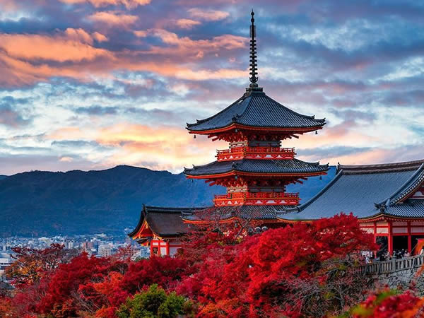 Voyage - Destination 1